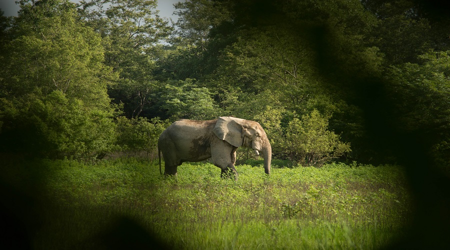 8 Days Tanzania Lodge Safari: Unforgettable Wildlife Journey